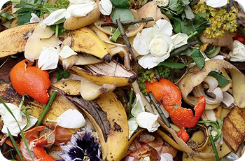 Organic Manure c Compost