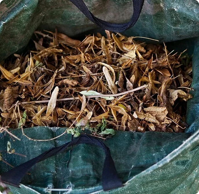 Forest Residue Biomass Chips