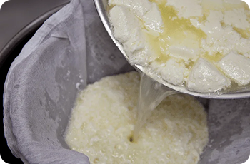 Separated Pig Slurry Digestate